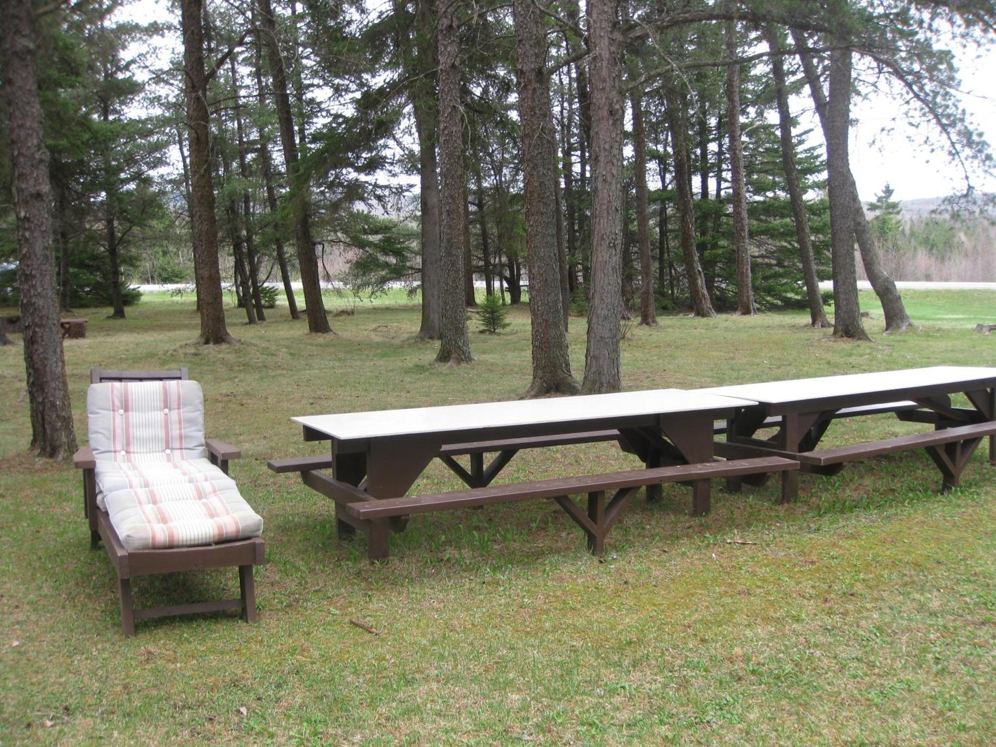 Pinecone Motel Sussex Ngoại thất bức ảnh