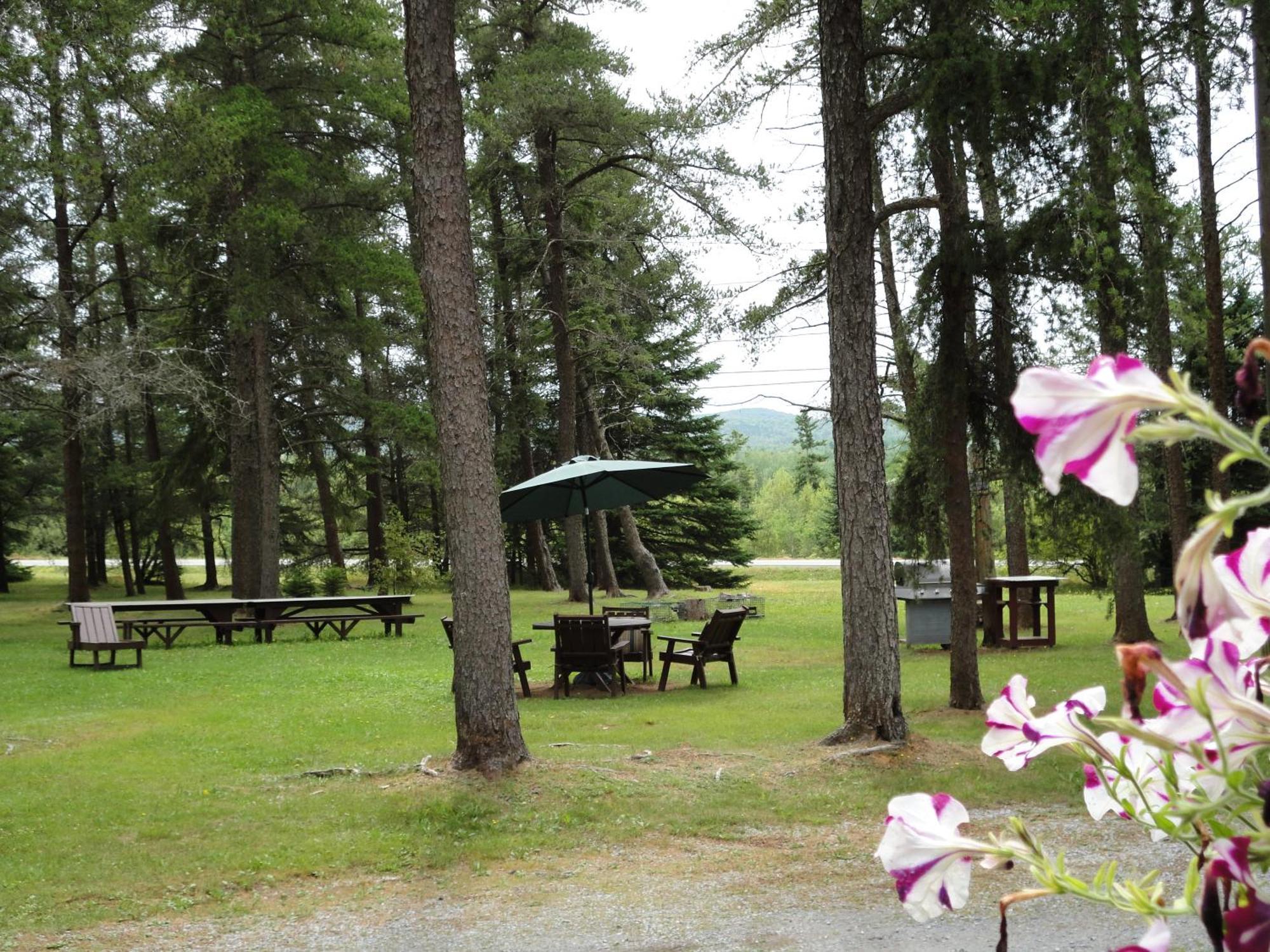 Pinecone Motel Sussex Ngoại thất bức ảnh
