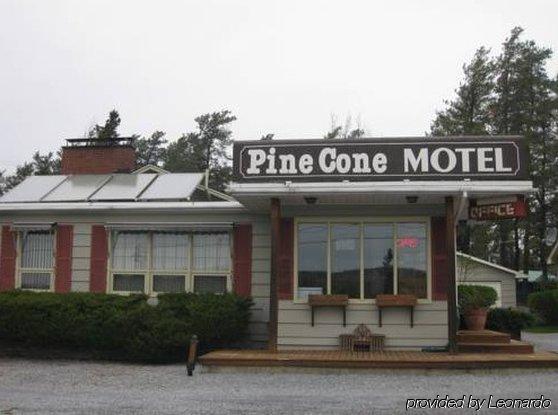 Pinecone Motel Sussex Ngoại thất bức ảnh