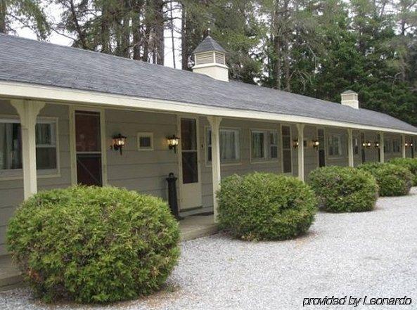 Pinecone Motel Sussex Ngoại thất bức ảnh