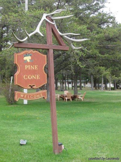 Pinecone Motel Sussex Ngoại thất bức ảnh