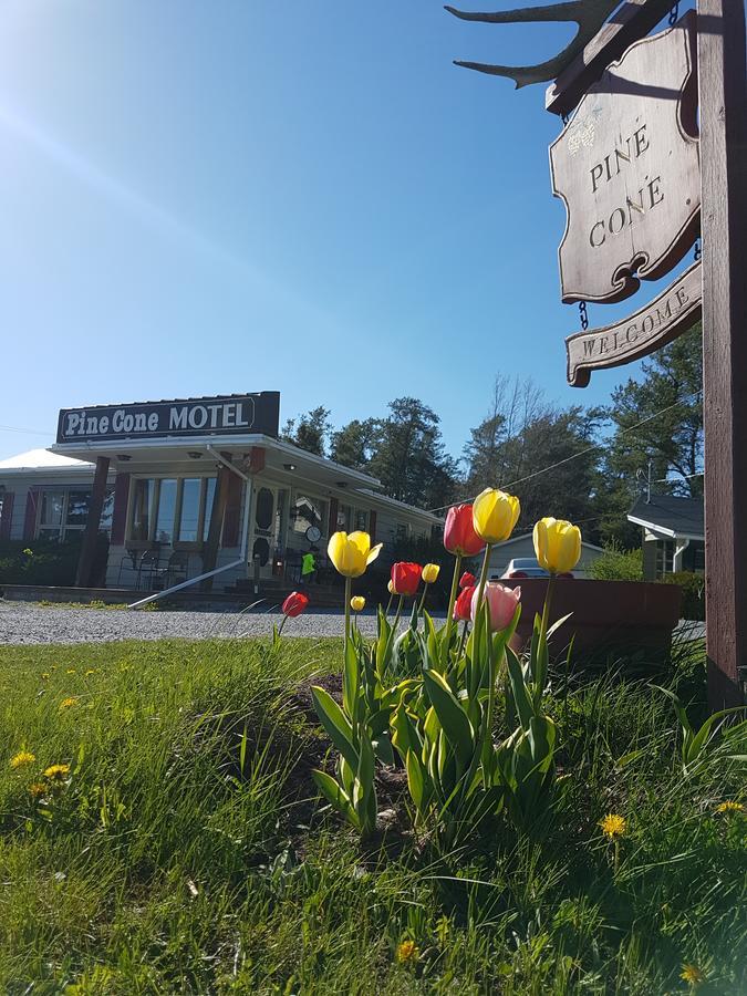 Pinecone Motel Sussex Ngoại thất bức ảnh
