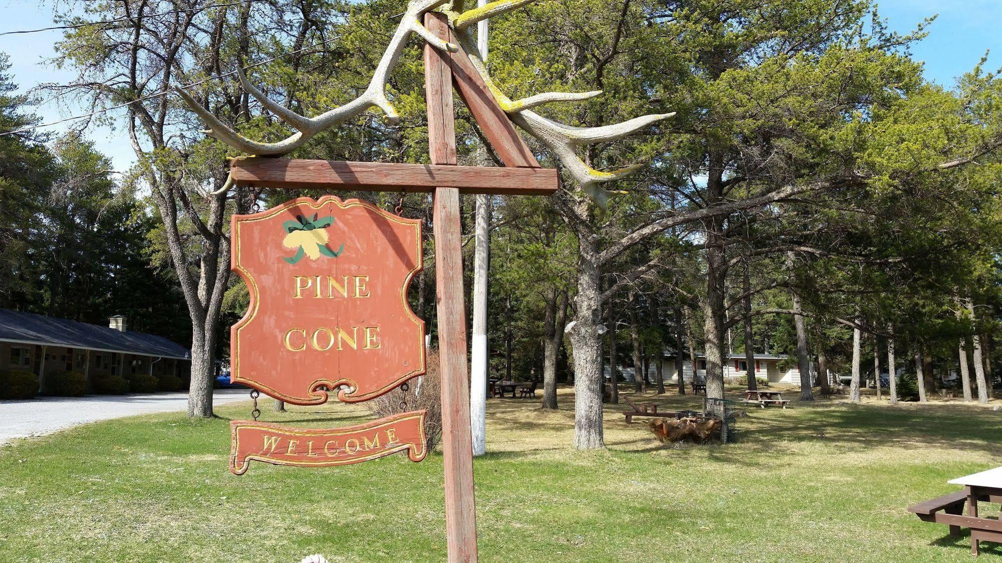 Pinecone Motel Sussex Ngoại thất bức ảnh
