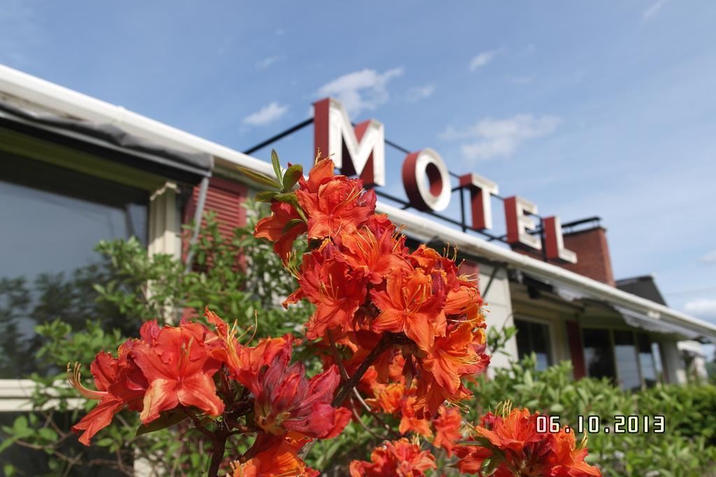 Pinecone Motel Sussex Ngoại thất bức ảnh