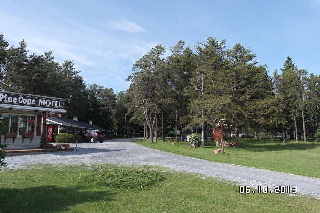 Pinecone Motel Sussex Ngoại thất bức ảnh